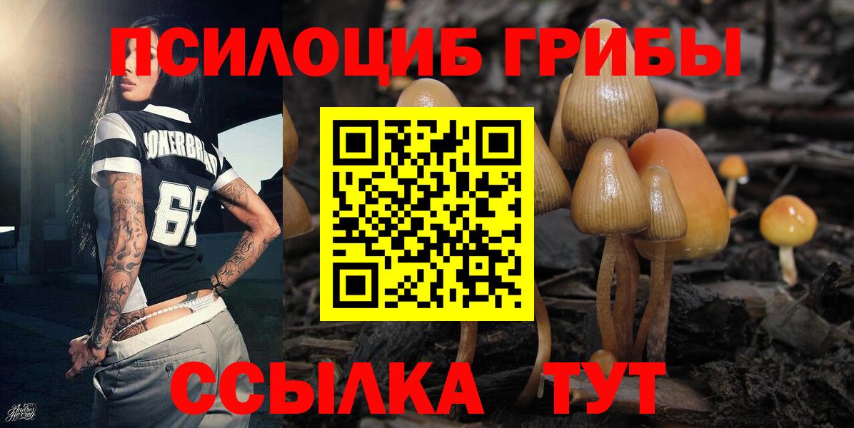 Псилоцибиновые грибы мухоморы  Вход с VPN  Еманжелинск 